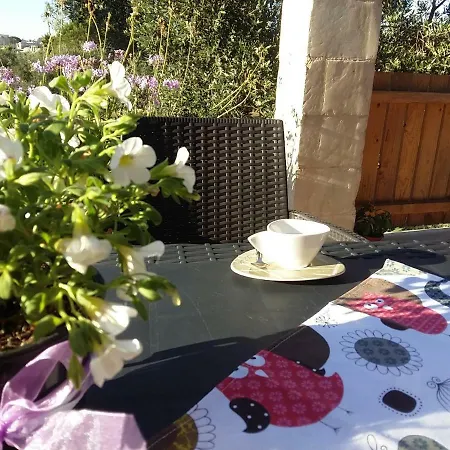 Farm stay Le Scerze Borgagne