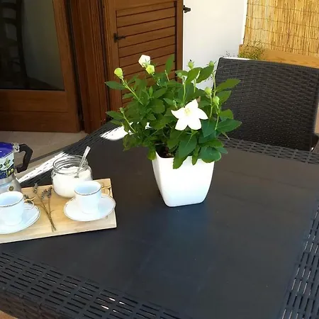 Farm stay Le Scerze Borgagne